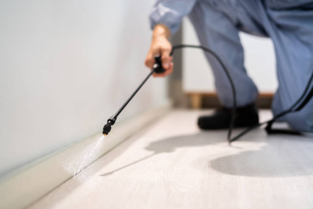 Licensed Pest Control service in Hiawatha, KS - Show Me Pest Control
